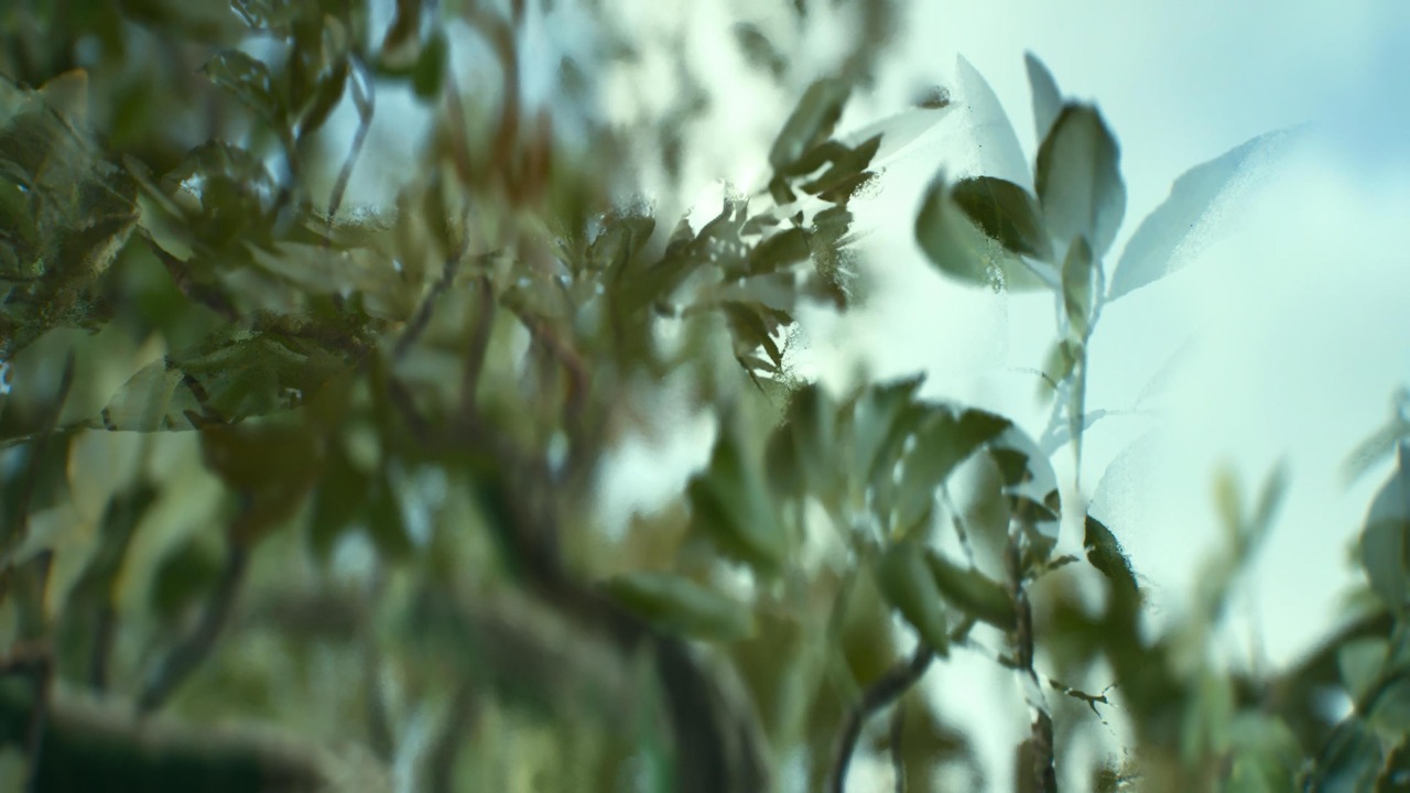 Studies on Breaking Immersion